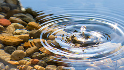 Pro Bono Featured Content