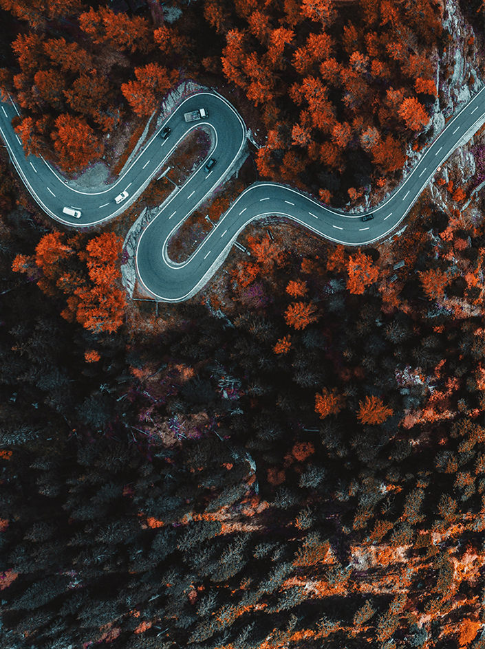 Fall Landscape