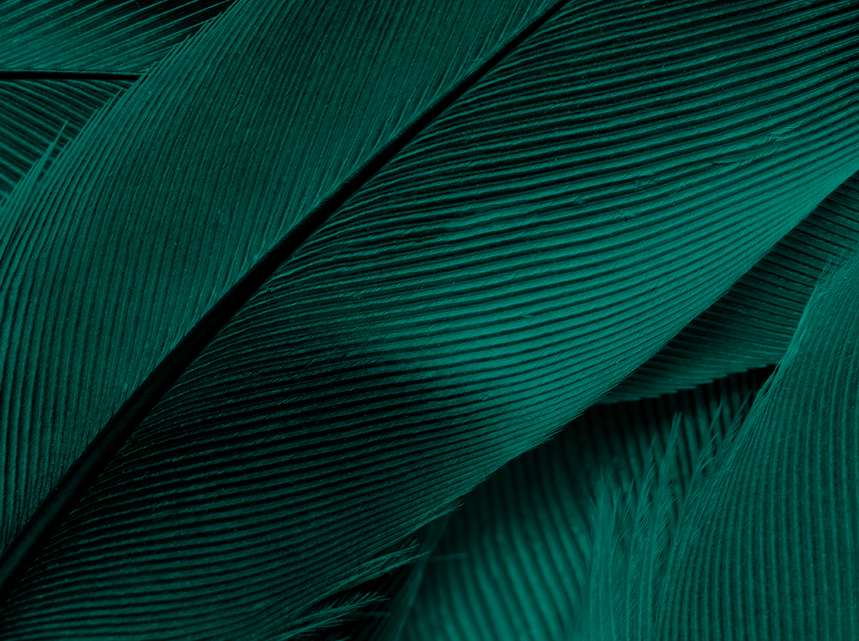 Green Leaves