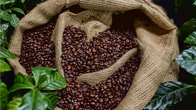 Coffee beans in a brown bag in nature